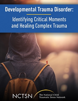 Developmental Trauma Disorder: Identifying Critical Moments and