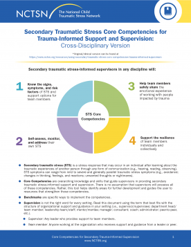Secondary Traumatic Stress Core Competencies for Trauma-Informed Support  and Supervision: Cross-Disciplinary Version